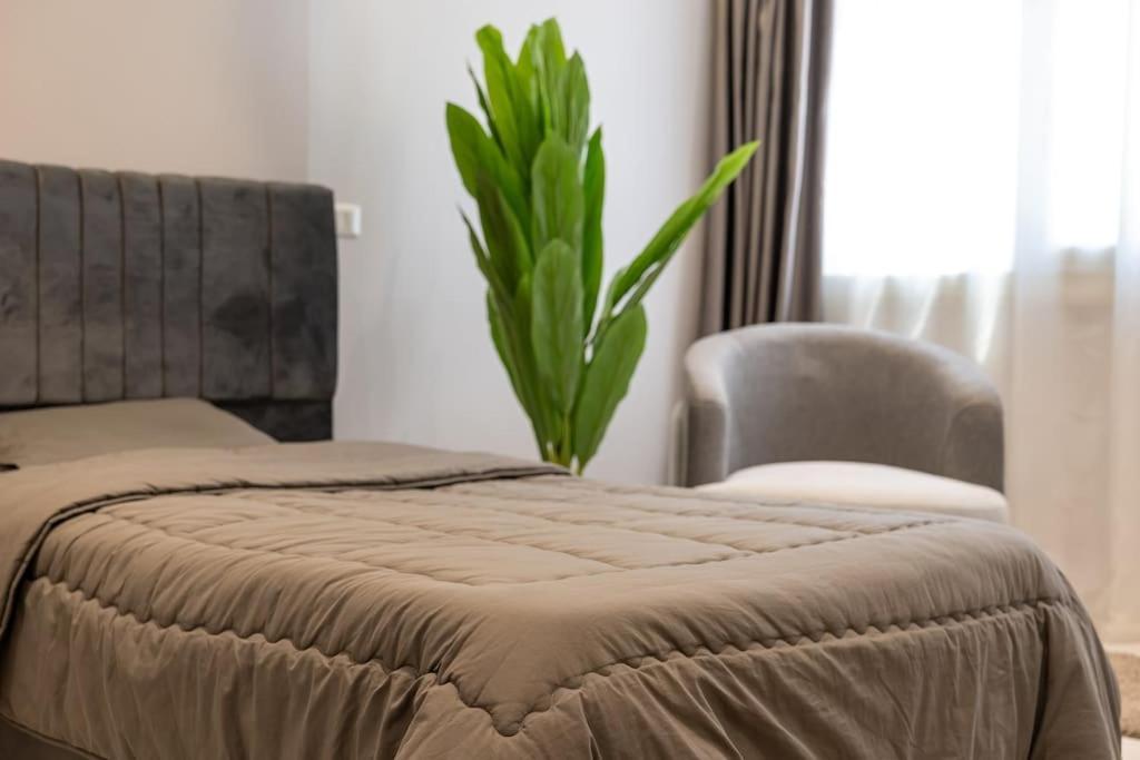 Mohandeseen Luxury